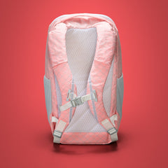 EVERGOODS X Carryology | Mountain Panel Loader 22L MPL22