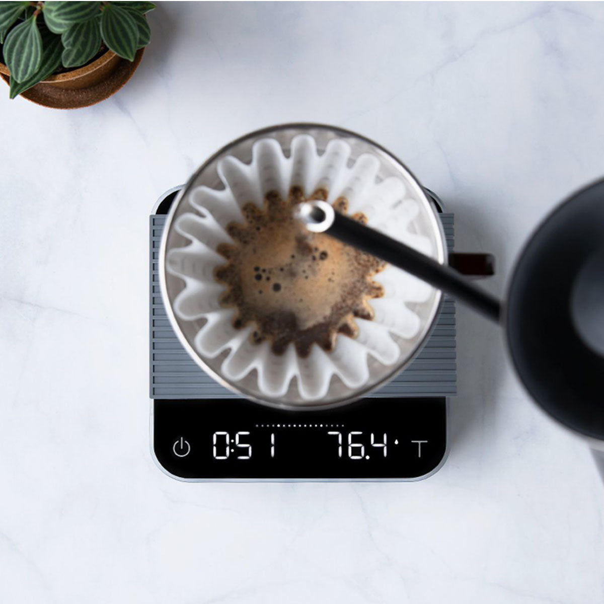 Pearl Coffee Scale