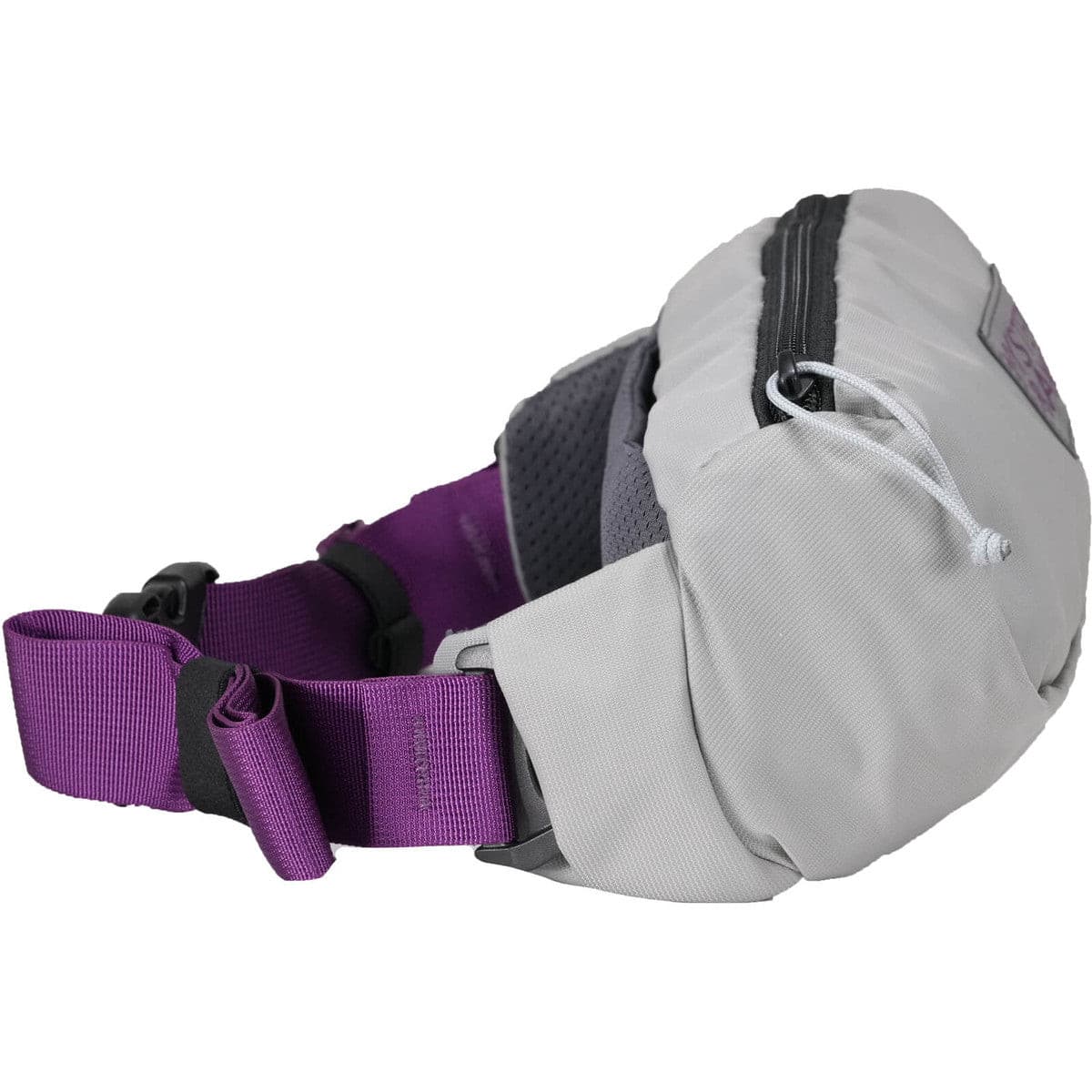 Forager Hip Pack Mystery Ranch Waist Bag Suburban.